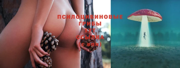не бодяженный Алексин