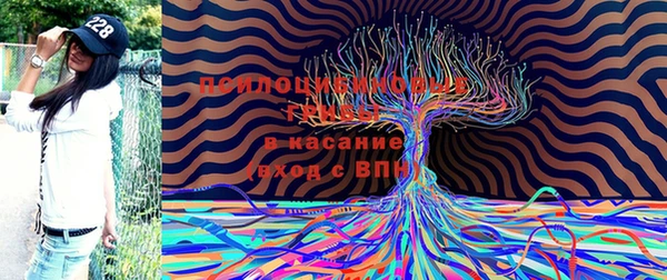 не бодяженный Алексин