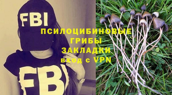 твердый Алексеевка